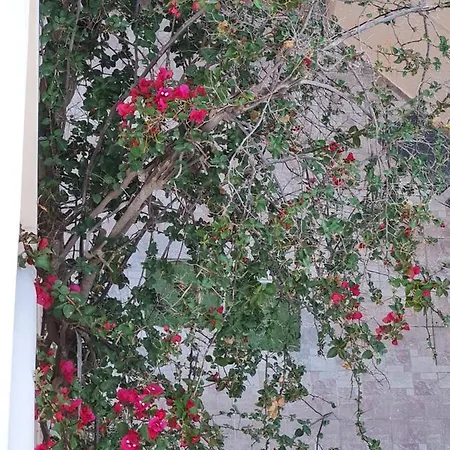 Hotel Dioni Adelianos Kampos