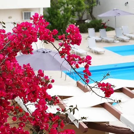 Hotel Dioni