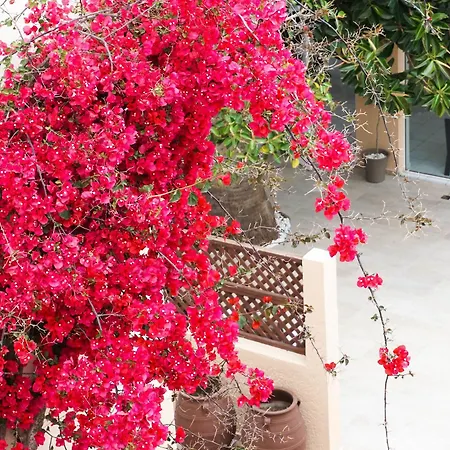 Dioni Hotel Adelianos Kampos