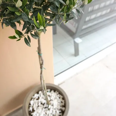 Dioni Hotel Adelianos Kampos